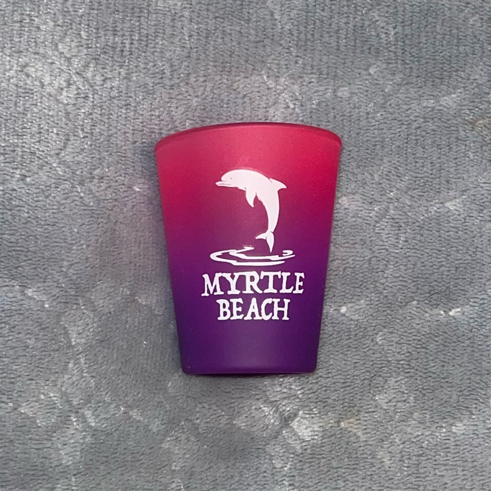 3/$10 Myrtle Beach Pink and Purple Shot Glass